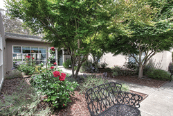 Pacifica Senior Living Mission Villa