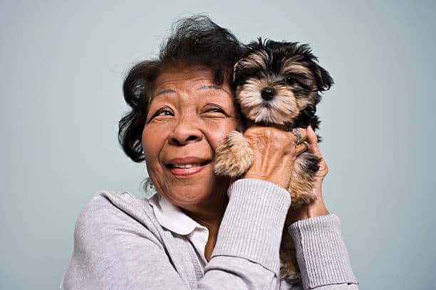 Key Things Seniors Need to Watch for After Adopting a Pet: Health, Allergies, and Overall Well-Being