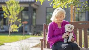 Illinois Senior Safety: How Pet Policies Differ Across the State